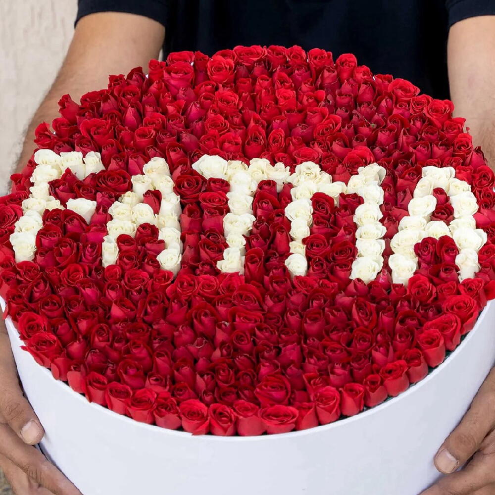 Do�um G�n� �i�e�i 4